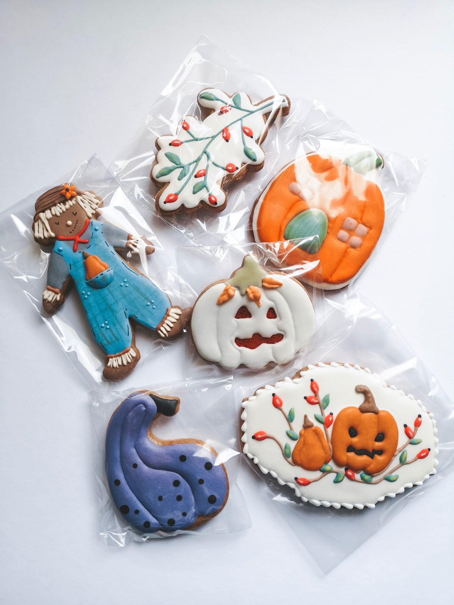 Podzimní sada zdobených perníčků